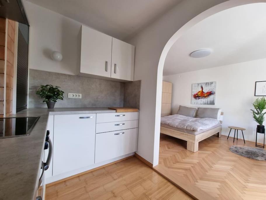 The Rowhouse Apartment Ljubljana - Free Parking Εξωτερικό φωτογραφία
